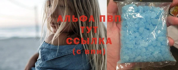 мяу мяу мука Абаза