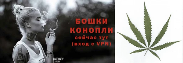мяу мяу мука Абаза