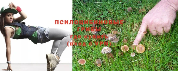 мяу мяу мука Абаза