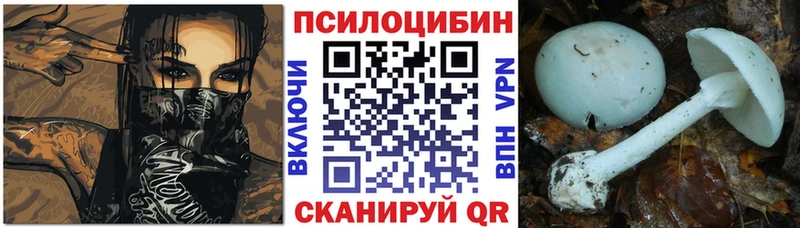 Псилоцибиновые грибы мицелий  наркошоп  Фёдоровский 